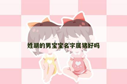 姓胡的男宝宝名字属猪好吗