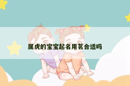 属虎的宝宝起名用茗合适吗