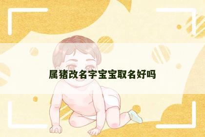属猪改名字宝宝取名好吗