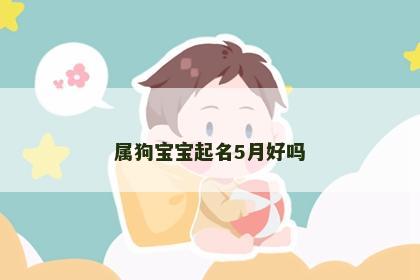 属狗宝宝起名5月好吗
