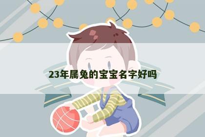 23年属兔的宝宝名字好吗