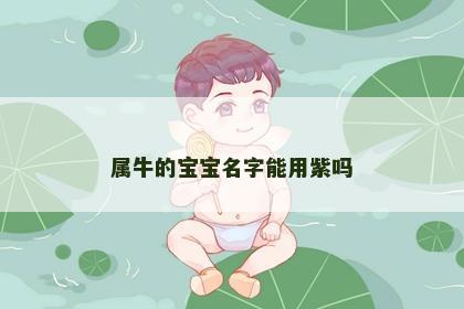 属牛的宝宝名字能用紫吗