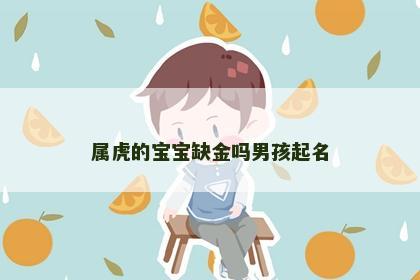 属虎的宝宝缺金吗男孩起名