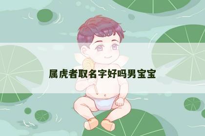 属虎者取名字好吗男宝宝