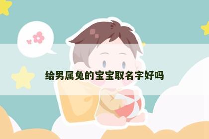 给男属兔的宝宝取名字好吗