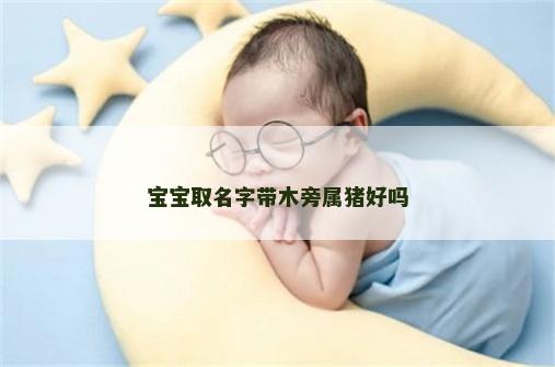 宝宝取名字带木旁属猪好吗