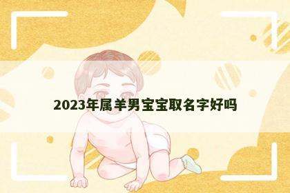 2023年属羊男宝宝取名字好吗