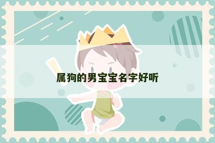 属狗的男宝宝名字好听