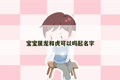 宝宝属龙和虎可以吗起名字