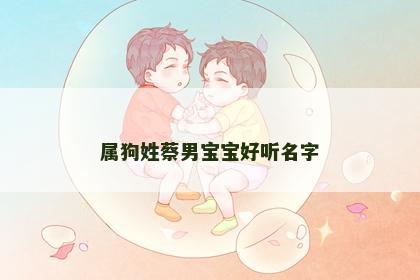 属狗姓蔡男宝宝好听名字
