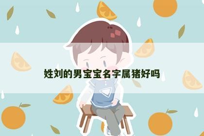 姓刘的男宝宝名字属猪好吗