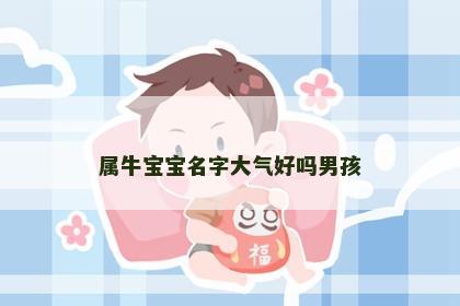属牛宝宝名字大气好吗男孩
