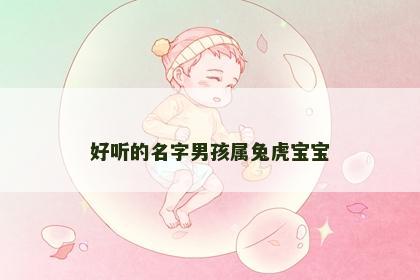 好听的名字男孩属兔虎宝宝