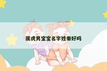 属虎男宝宝名字姓秦好吗