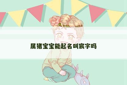 属猪宝宝能起名叫宸字吗